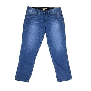 Democracy Classic Blue Straight Skinny Jeans